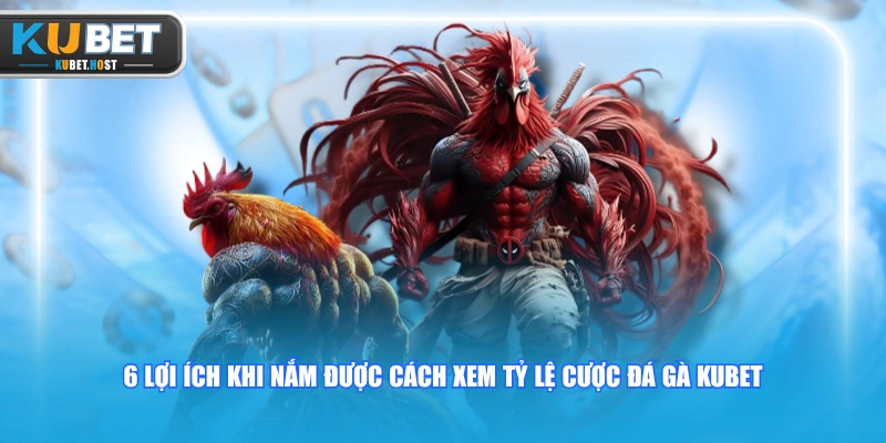 Cách Xem Tỷ Lệ Cược Đá Gà KUBET Chuẩn Xác 100% Cho Tân Thủ 1 6 lợi ích khi nắm được cách xem tỷ lệ cược đá gà KUBET